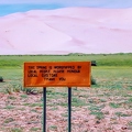 190000MVE_wueste-gobi-worshipped-spring-sign-honouring-by-E-Girardet.jpg
