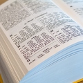 200508_bildung_CRW_2977-dictionary-typography-by-E-Girardet.jpg