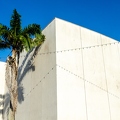201402_26_DSC2254-fairy-light-wall-palm-by-E-Girardet.jpg