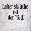 201406_28_IMG_0705-german-text-on-stone-by-E-Girardet.jpg