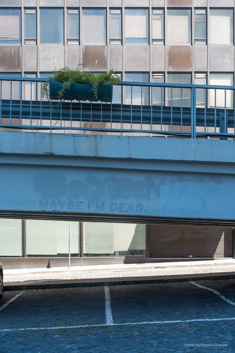 201508_09_DSC04250-urban-bridge-with-maybe-by-E-Girardet.jpg