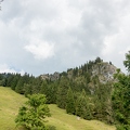 201608_31_DSC08832-tree-mountain-green-clouds-by-E-Girardet.jpg