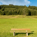 201609_01_DSC08932-bank-meadow-forest-green-by-E-Girardet.jpg