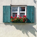 201609_02_DSC08956-window-flower-mountain-hut-by-E-Girardet.jpg