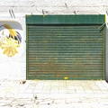 201708_08_IMG_6167-green-shuttered-shopfront-with-gourd-mural-by-E-Girardet.jpg