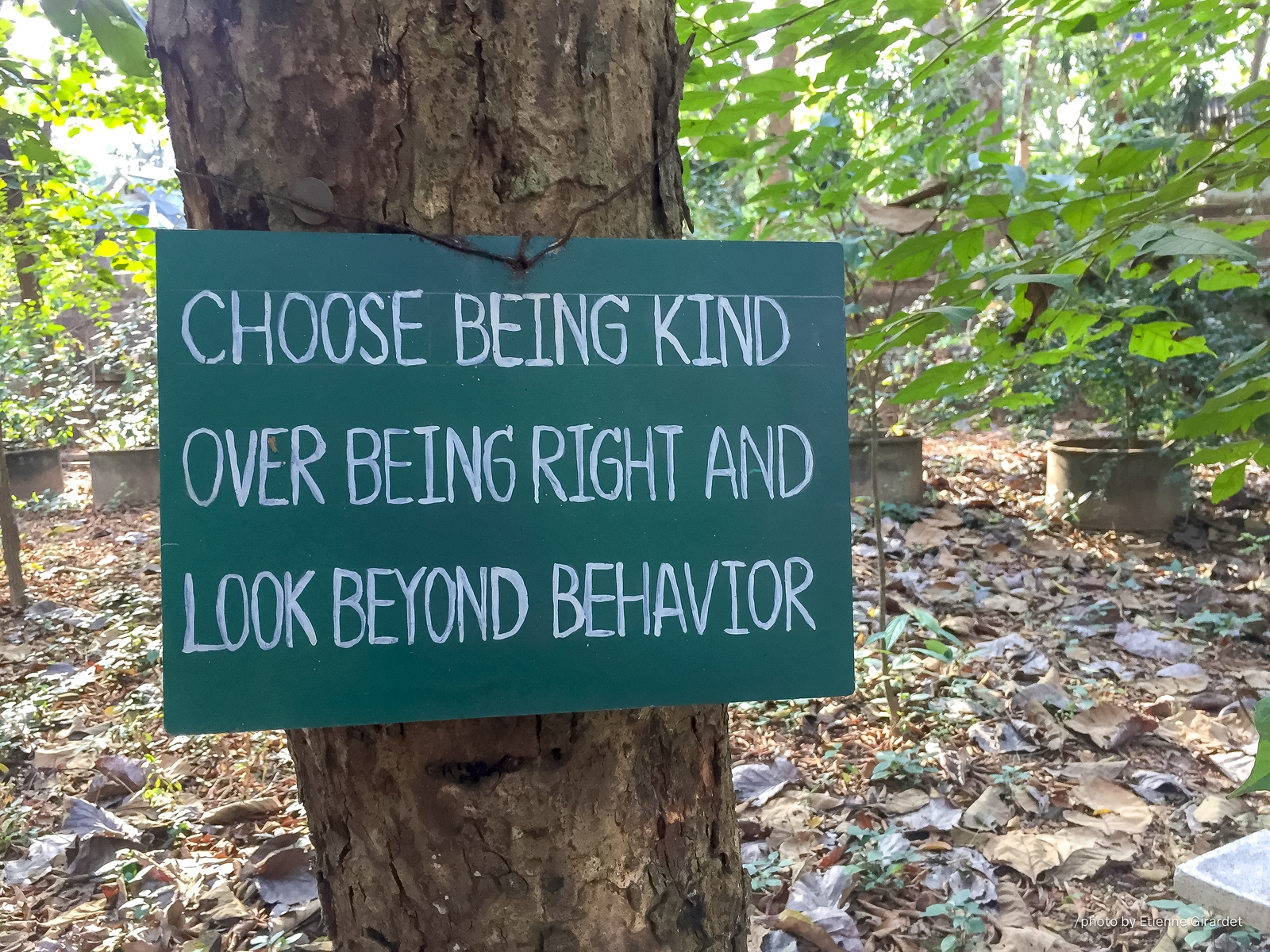 201712_31_IMG_8653-choose-being-kind-over-by-E-Girardet.jpg