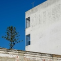201810_19_RXX1722-white-house-window-tree-by-E-Girardet.jpg
