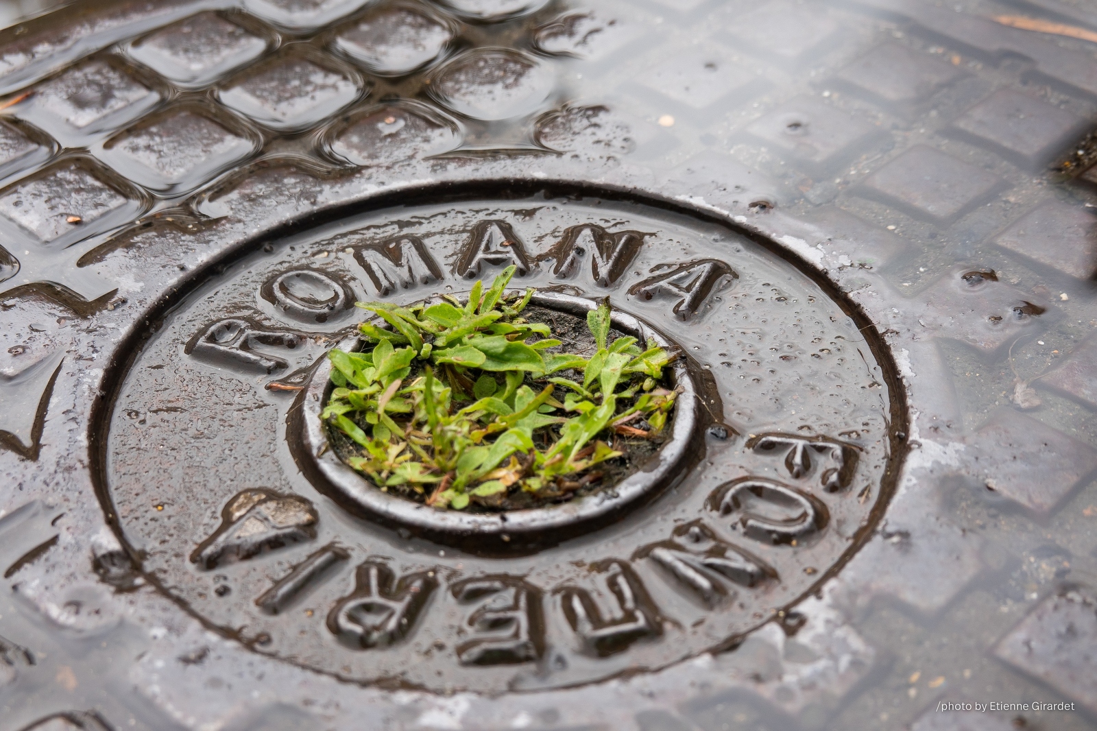 201905_20_RXX04200-rome-manhole-rain-by-E-Girardet.jpg
