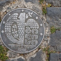 201906_24_RXX04830-manhole-cover--by-E-Girardet.jpg