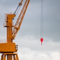 202007_06_ZZ6_6025-orange-crane-still-life-by-E-Girardet.jpg