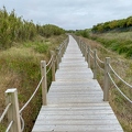 202108_05_IMG_8512-path-dunes-still-life-by-E-Girardet.jpg
