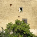 202107_10_IMG_7336-wall-window-tree-still-life-by-E-Girardet.jpg