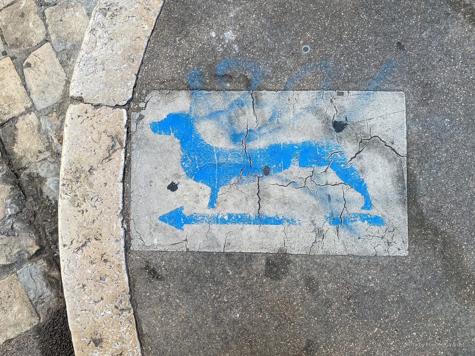 202110_14_IMG_9449-stencil-blue-dog-street-by-E-Girardet.jpg