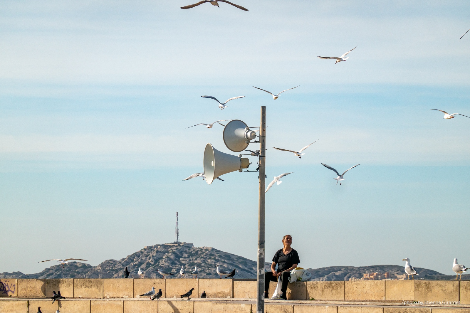 202211_02_RXX02184-gulls-fly-near-speaker-man-sits-on-wall-by-E-Girardet.jpg