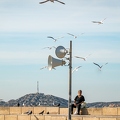 202211_02_RXX02184-gulls-fly-near-speaker-man-sits-on-wall-by-E-Girardet.jpg