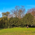 202211_13_IMG_4243-autumn-park-scene-with-person-and-bike-by-E-Girardet.jpg