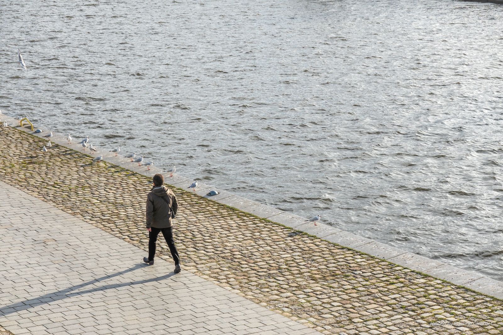 202301_05_RXX02282-person-walks-riverside-with-birds-by-E-Girardet.jpg