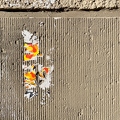 202301_19_IMG_4841-torn-poster-on-textured-wall-by-E-Girardet.jpg