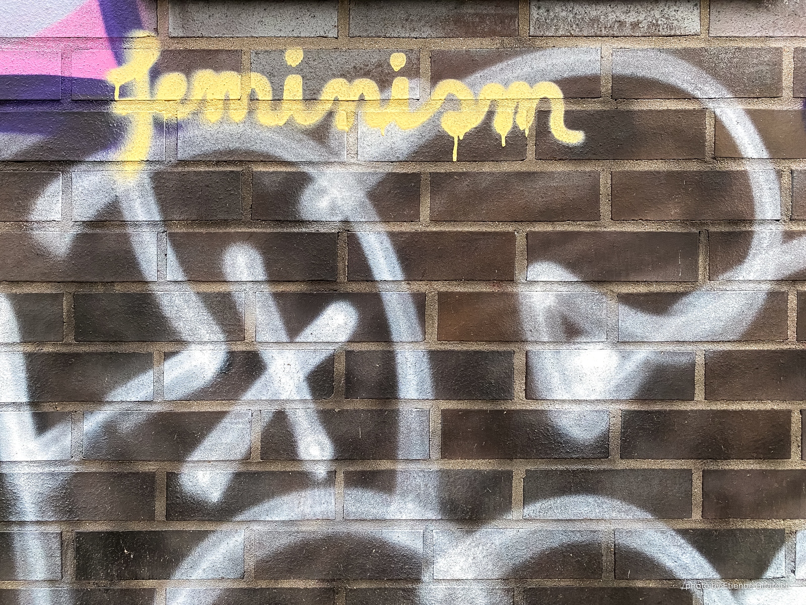 202301_26_IMG_4853-graffiti-on-dark-brick-wall-says-femission-by-E-Girardet.jpg