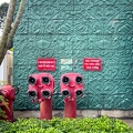 202311_28_IMG_8435-red-fire-hydrants-on-teal-wall-by-E-Girardet.jpg