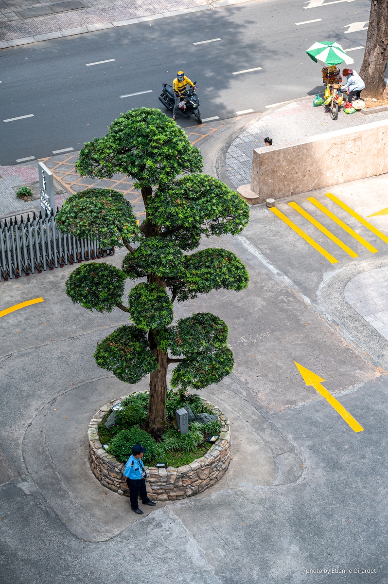 202312_01_ZZ63523-urban-scene-with-trees-and-guard-by-E-Girardet.jpg