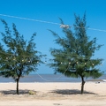 202401_05_ZZ64800-beach-scene-with-string-lights-and-trees-by-E-Girardet.jpg