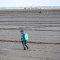 202401_10_ZZ64983-farmer-spraying-pesticide-on-paddy-field-by-E-Girardet.jpg