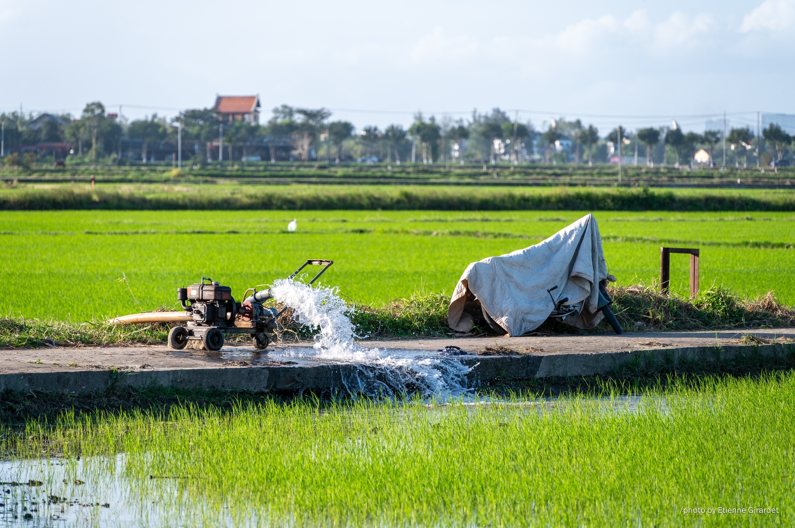 202401_19_ZZ65104-rice-paddy-irrigation-pump-in-action-by-E-Girardet.jpg