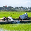 202401_19_ZZ65104-rice-paddy-irrigation-pump-in-action-by-E-Girardet.jpg