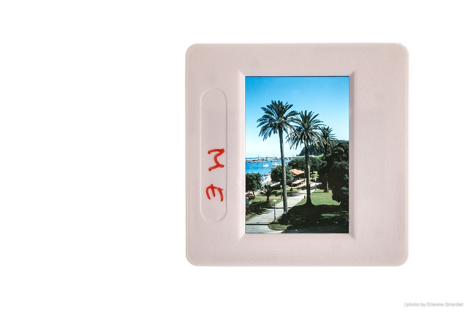 202410_12__ZZ68473-seaside-park-with-palm-trees-by-E-Girardet.jpg